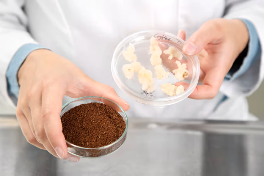 Can Coffee Be Grown in a Lab?