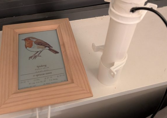 The wooden-framed bird station display, as above, showing an image of a robin (spideog) with some text. There is a bit of PVC piping with a wire in it that houses the microphone
