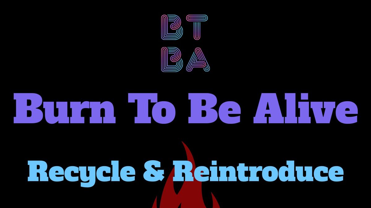 Nummer 2: Das mysteriöse Verhalten ... der Spaßgesellschaft