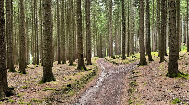 Gebirge, Gebirge, Erzgebirge!