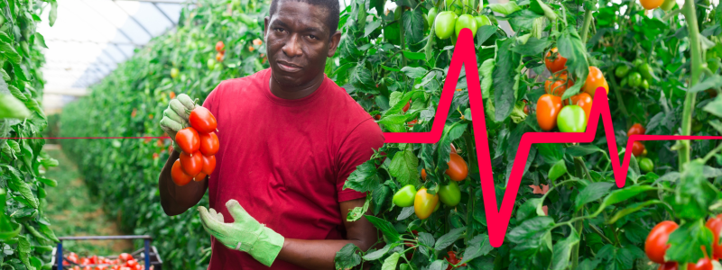 Agricultural Workforce Wellness: The Need for Regular Health Screenings