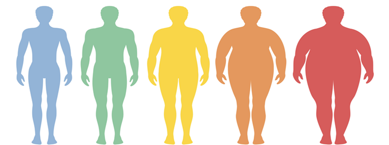 Understanding BMI and Its Importance
