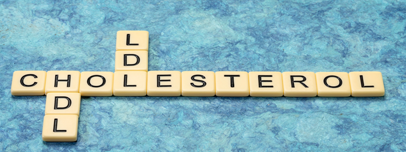 What is Cholesterol?