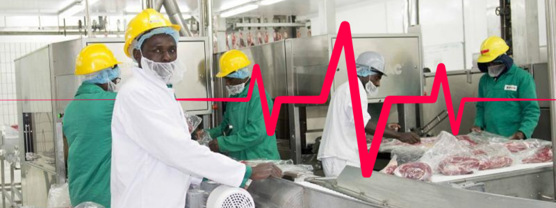 Health Precautions in Abattoirs: Minimising Risks for Workers’ Safety