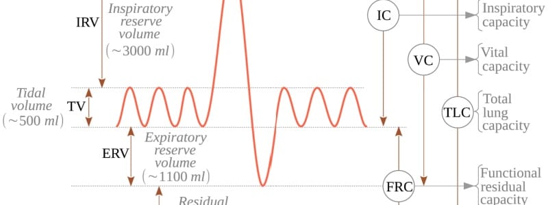 Monitoring Lung Health