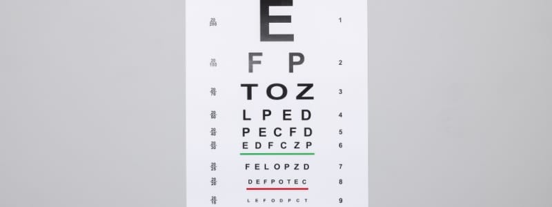 Vision Care for Children: Ensuring Healthy Eyes and Clear Futures