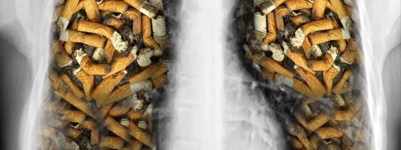 Alternative Therapies for Quitting Smoking: Exploring Options