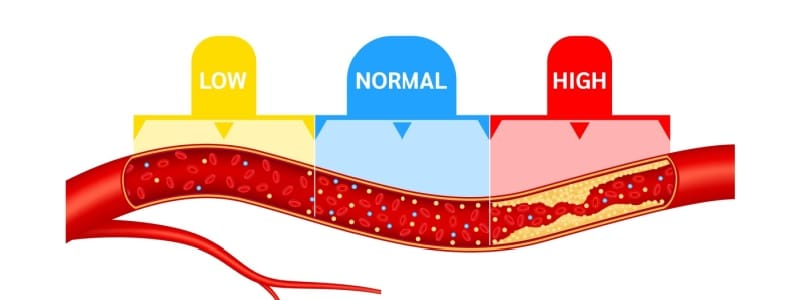 High Cholesterol and Heart Disease: Understanding the Connection