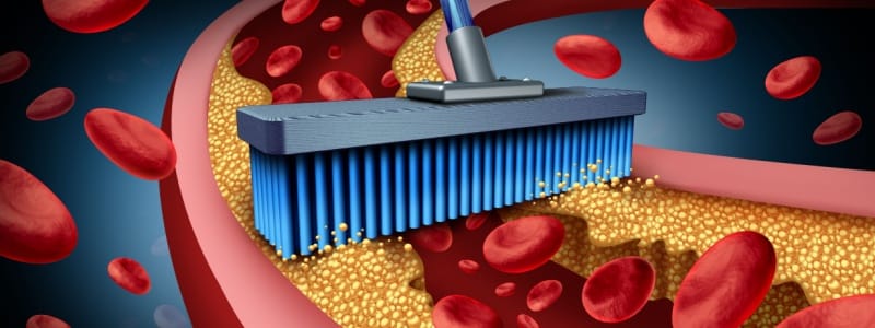 Medications for High Cholesterol: What You Need to Know