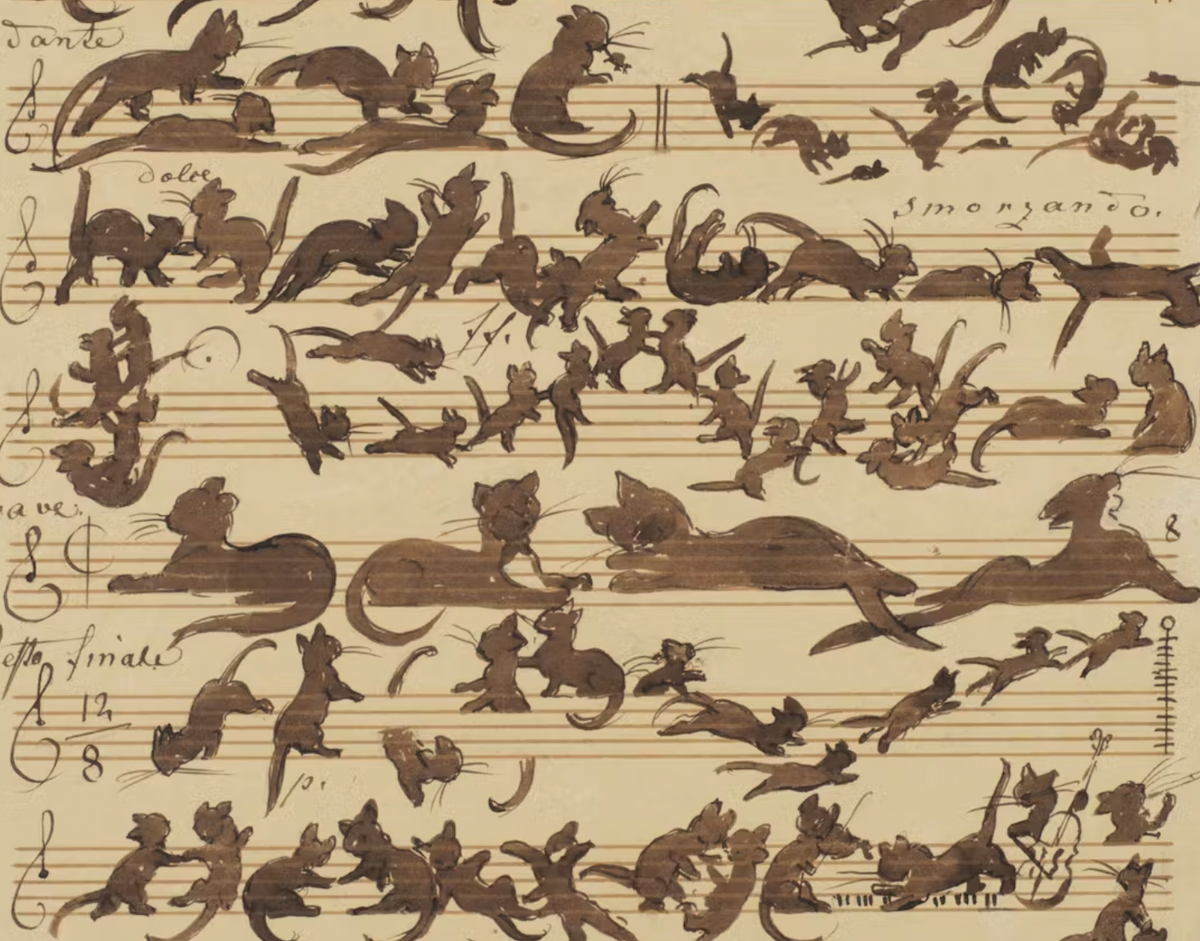 Ask the Rabbis: Opinion time