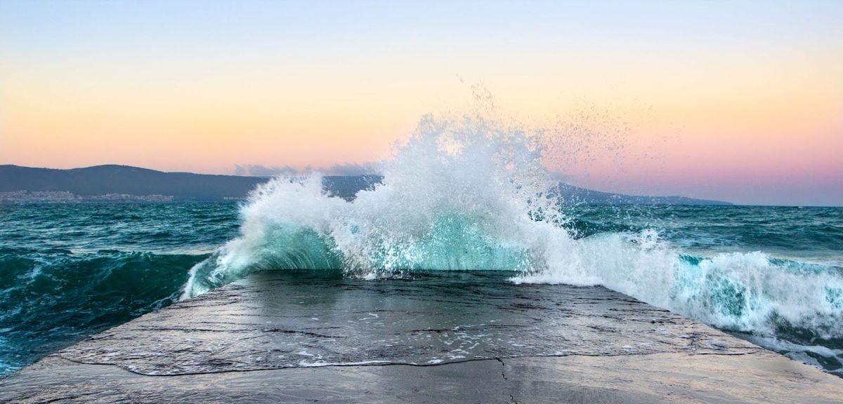 At the Water's Edge