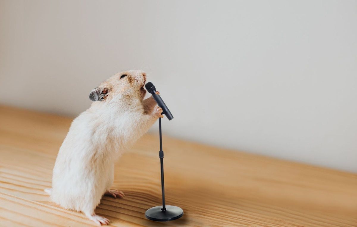 Open Thread/Open Mic