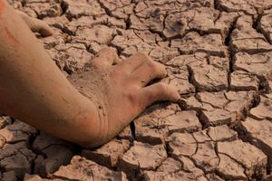 Cast into the Desert