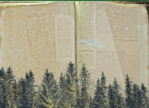 Jewish Text 201