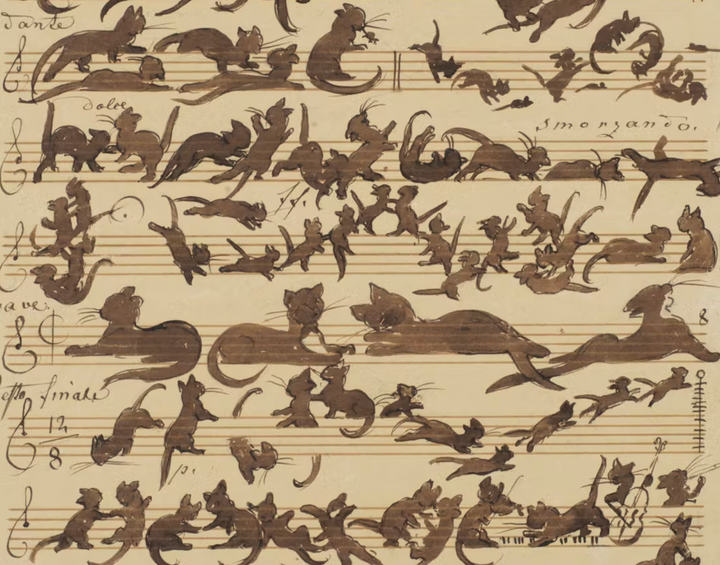 Ask the Rabbis: Opinion time