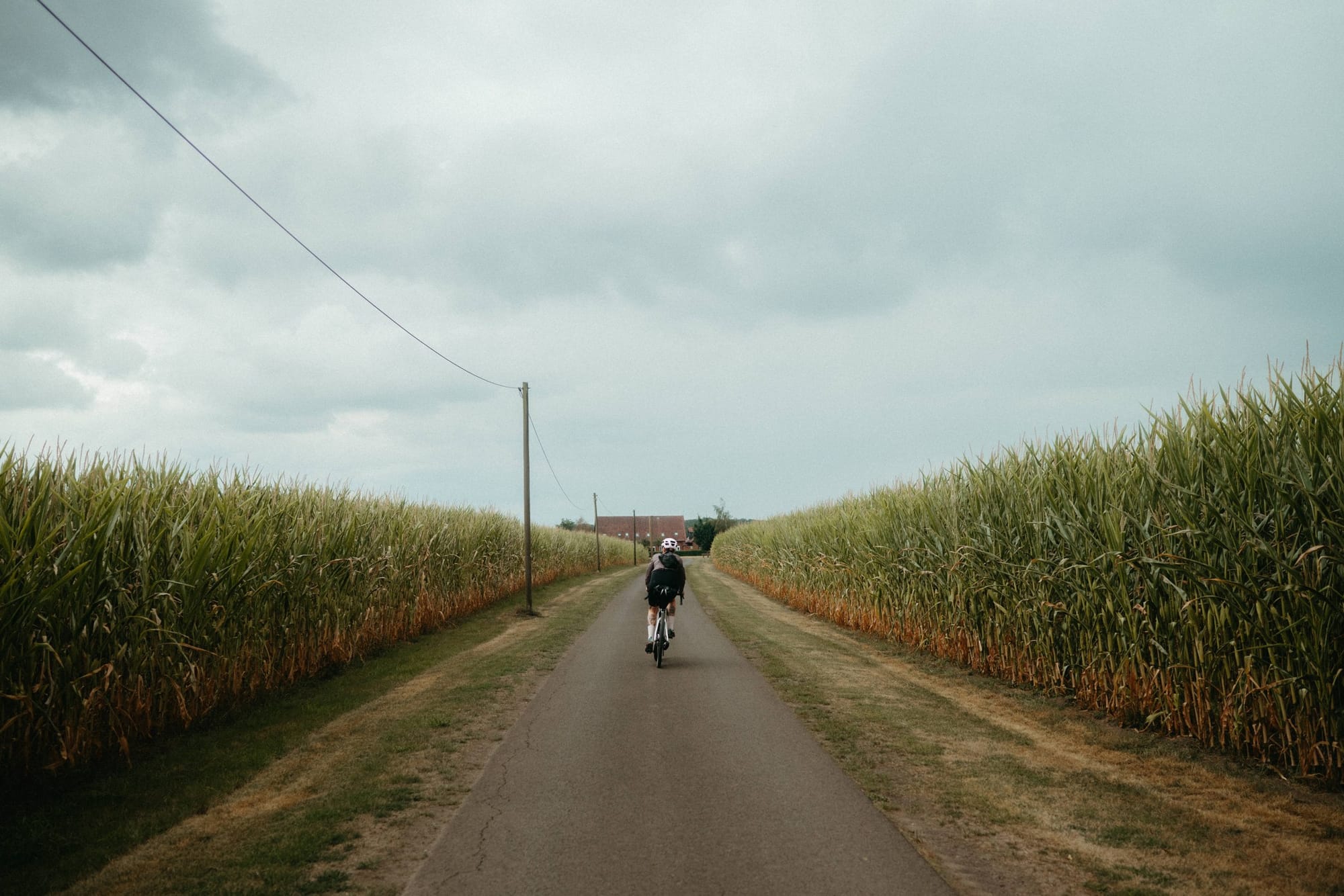 Jana riding between tall cornfields