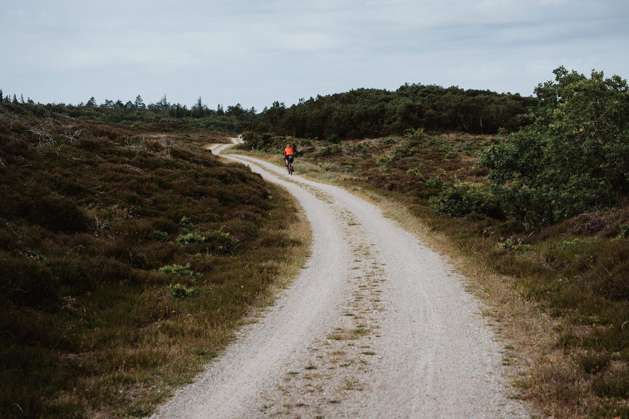 Northbound - About Disconnection and Reconnection