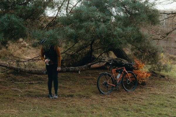 Facing the Challenge of Change