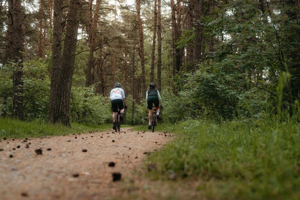 Fuck the Algorithm. We Choose Freedom.