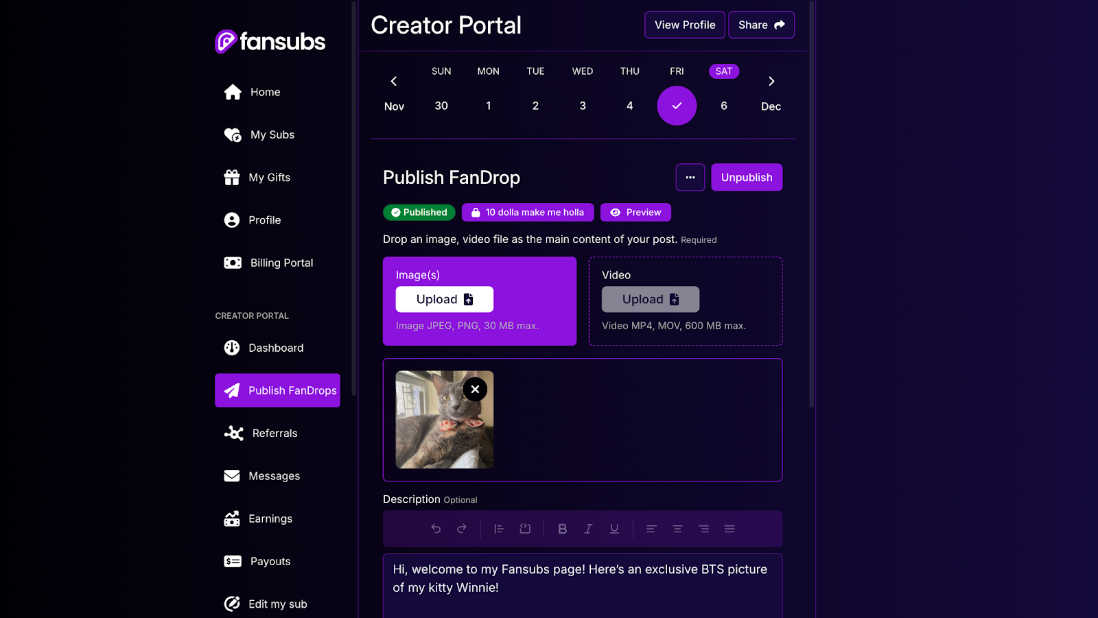 Previewed content in the creator portal of FanSubs