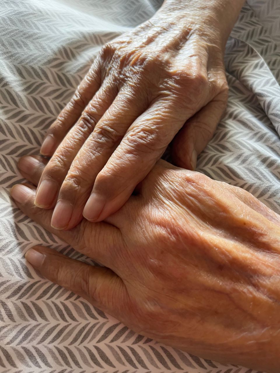 Father's Hands