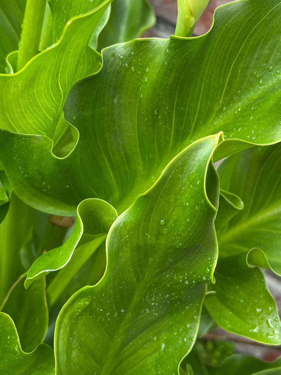 Patience & Creativity