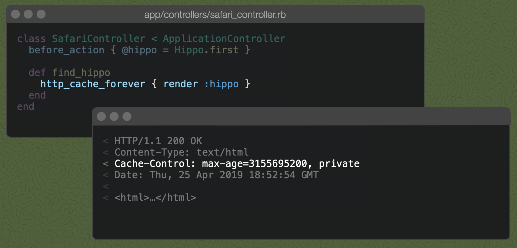 A Rails controller action with `http_cache_forever { render :hippo }` and the resulting `Cache-Control` header, described below.
