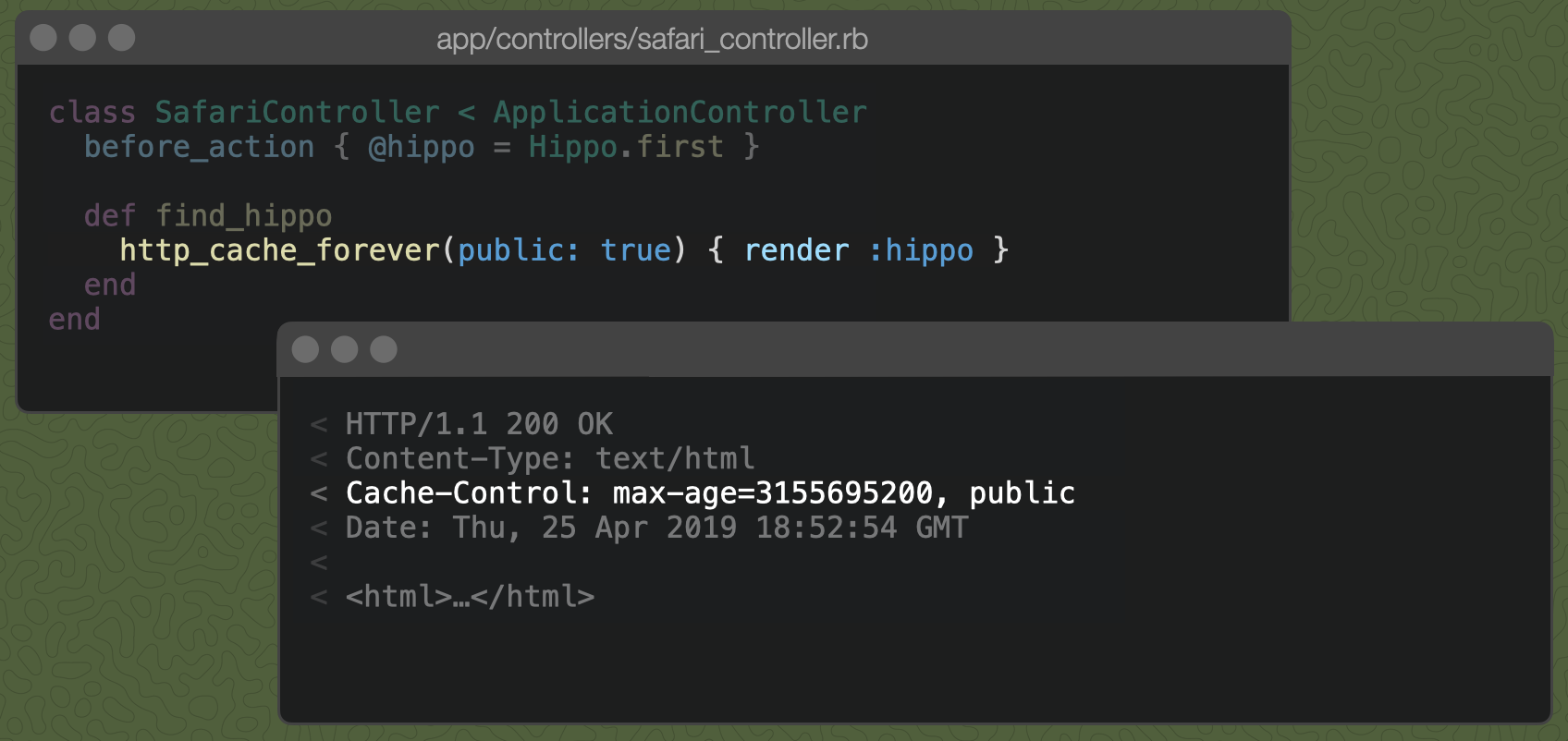 A Rails controller action with http_cache_forever(public: true) { render :hippo } and the resulting Cache-Control header, marked public.