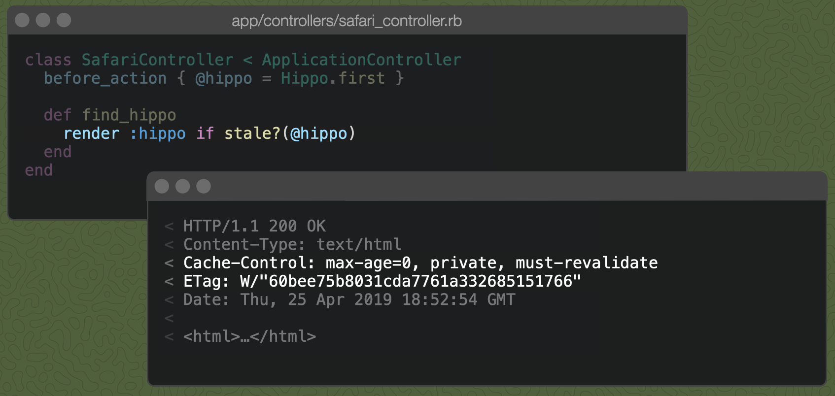 A Rails controller action with render :hippo if stale?(@hippo) and the resulting Cache-Control header, described below.