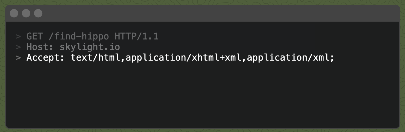 A response with `Accept: text/html,application/xhtml+xml,application/xml;`