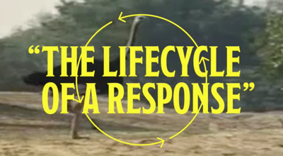 An image from a safari overlaid with stylistic text reading "THE LIFECYCLE OF A RESPONSE"