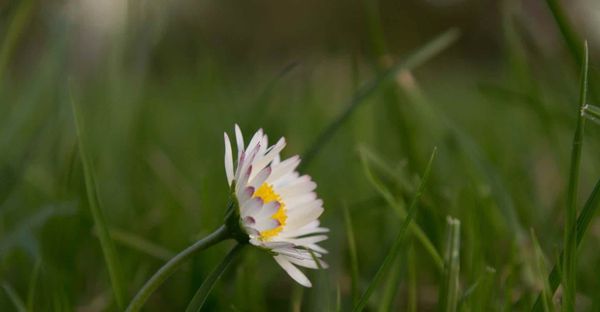 Anthologie érotique en PDF !