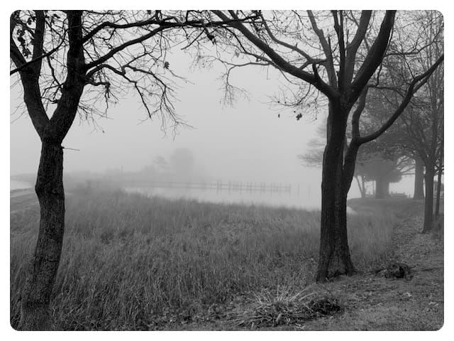 The Fall