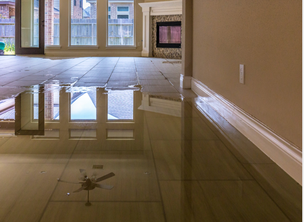 Top DIY Water Damage Cleanup Mistakes to Avoid