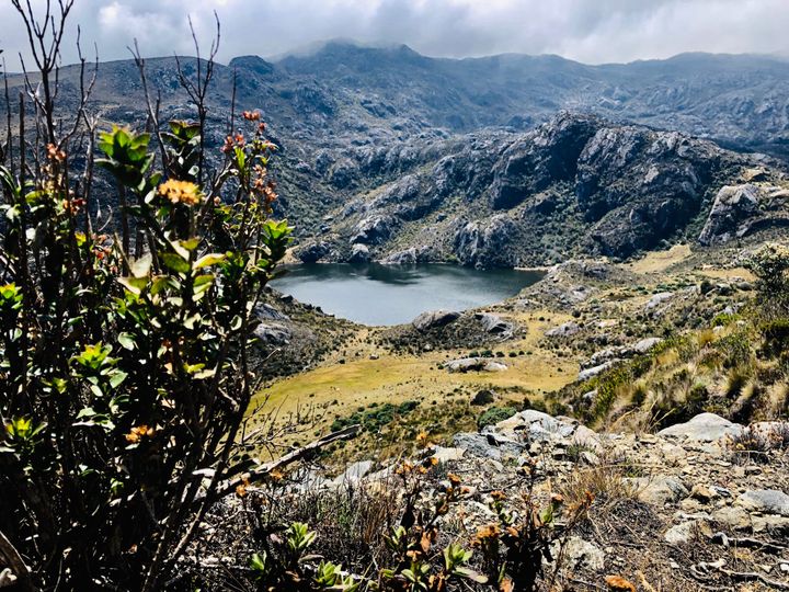 A top court was asked about climate change. Now a fragile ecosystem threatened by mining has rights
