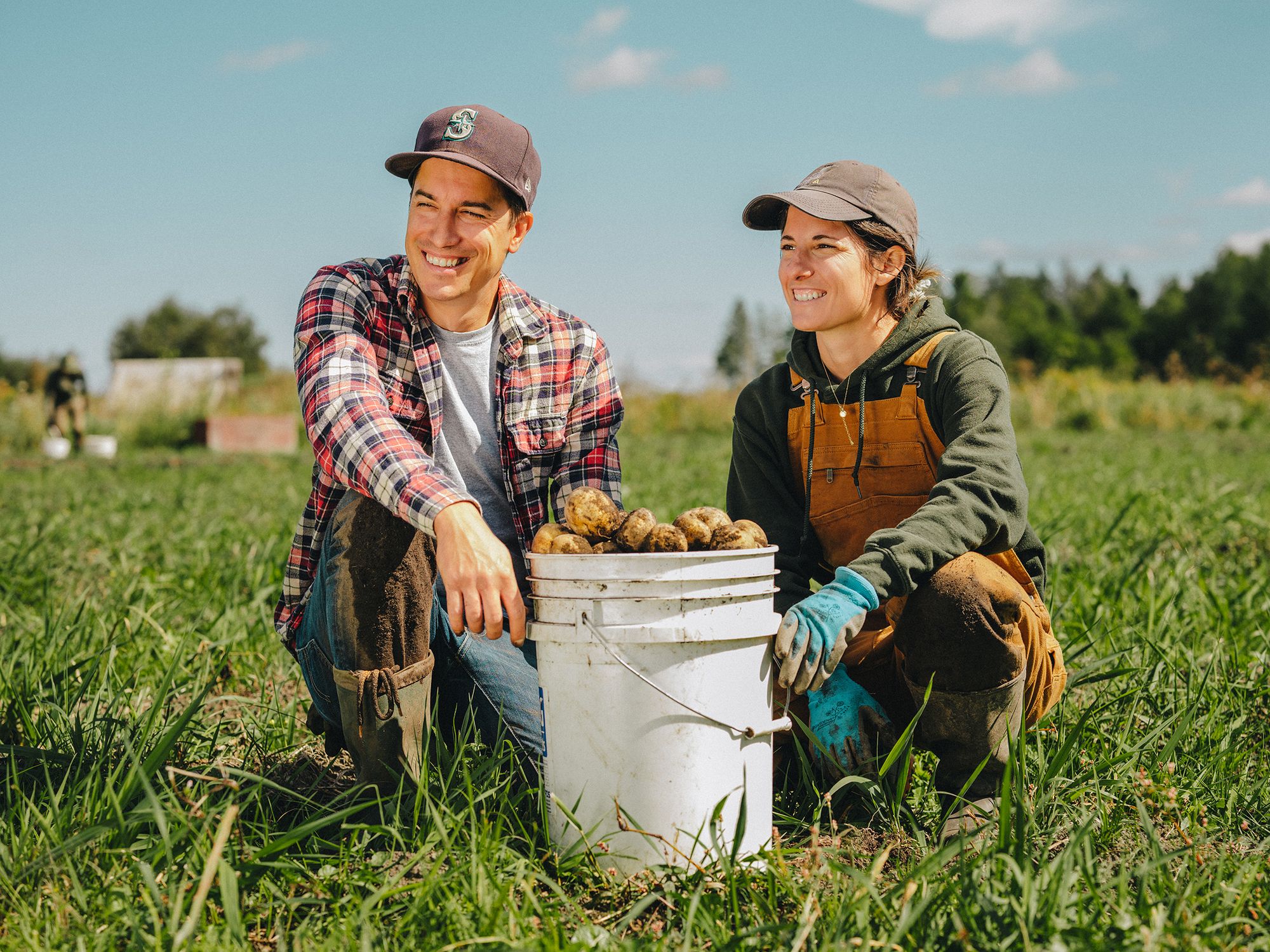 Miett Chips: The New Potato Chip Everyone Is Talking About