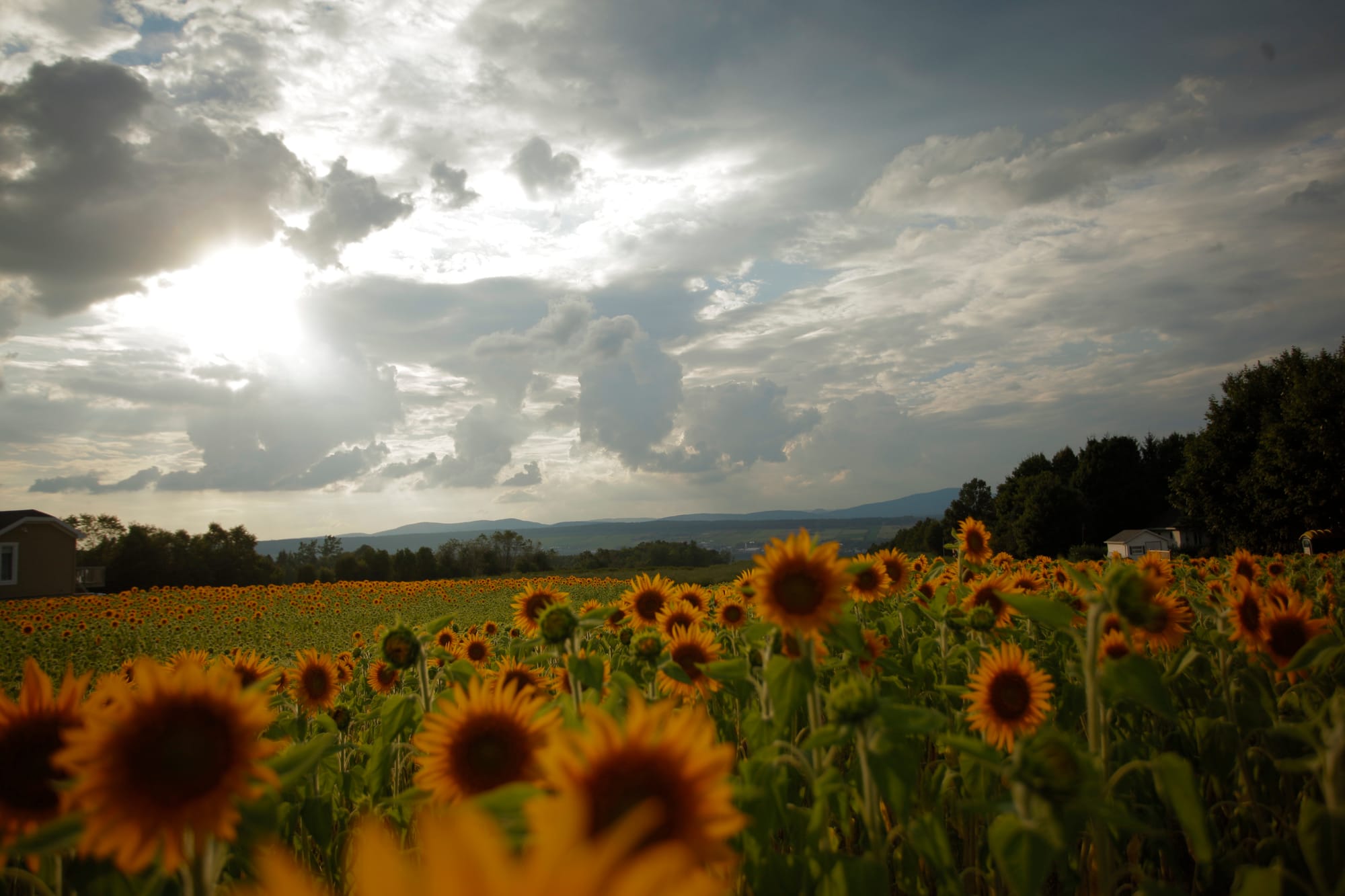 Baie Saint-Paul might be your best bet for a weekend escape in Quebec