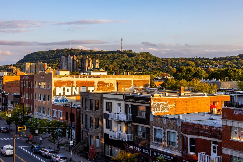 A Local's Guide to Mile End