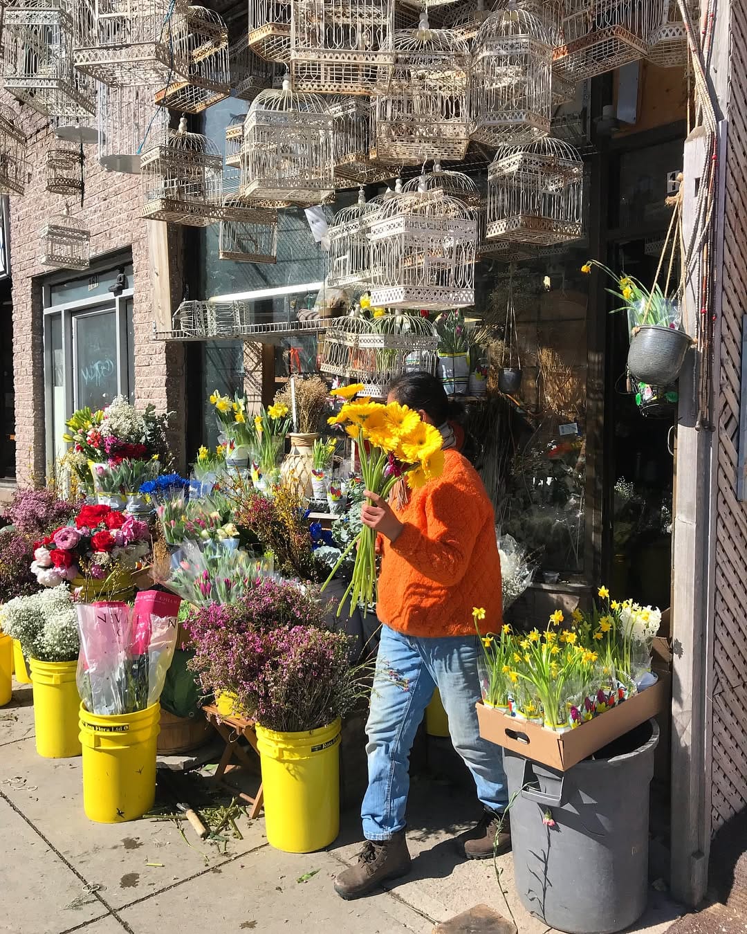 After 40 Years on Bernard, Dragon Flowers Has a New Address