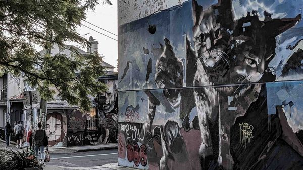 Welcome to the ranter