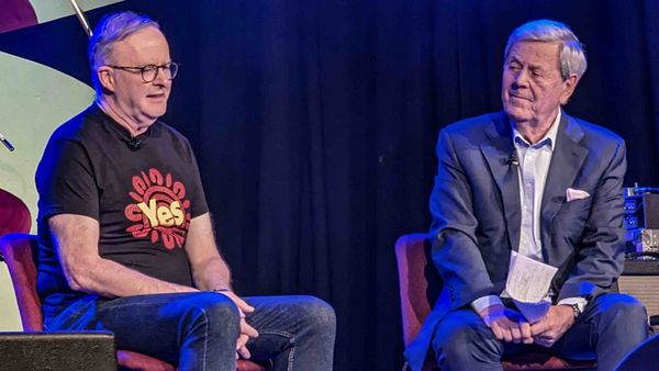 Albo needs to face a teal in Grayndler