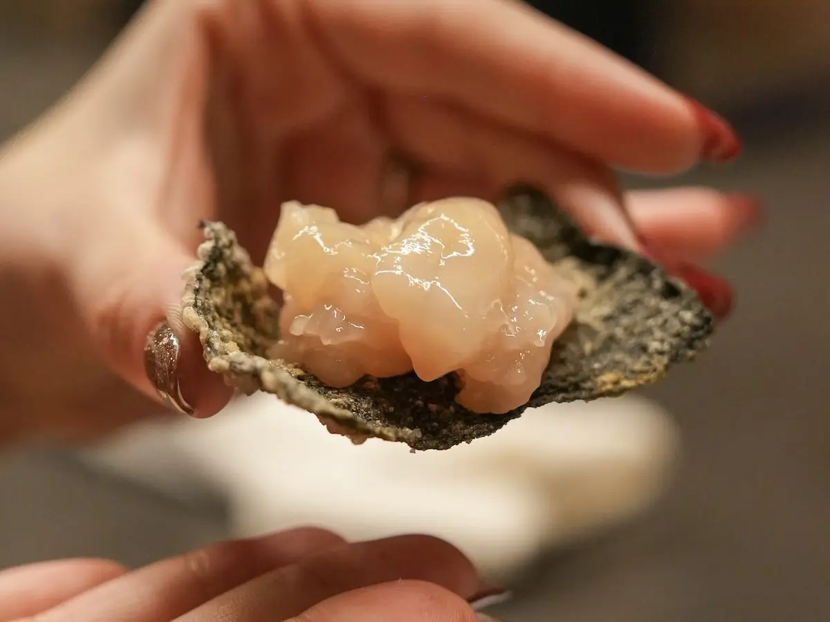  [ペア]麻布台ヒルズの「居酒屋」で仲良しと“旬を味わう”お任せコース