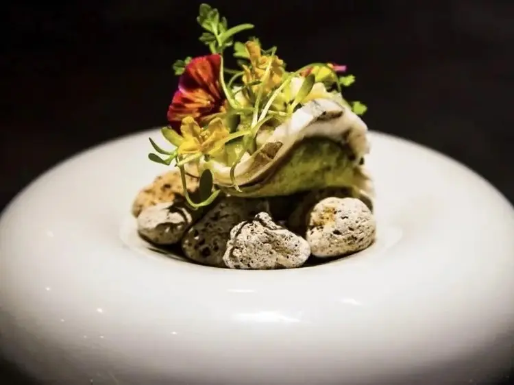 【ペアで感動】西麻布の女性猟師が作る、至福の夜パフェ付ディナーコース