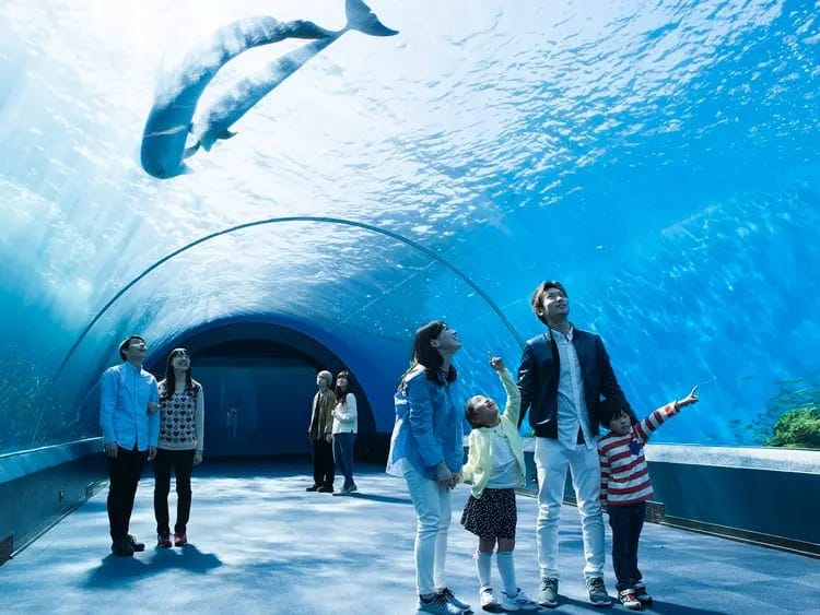 横浜・八景島シーパラダイスで、絶景も絶叫も楽しむワンデーパス（ショップクーポン1,000円分付）