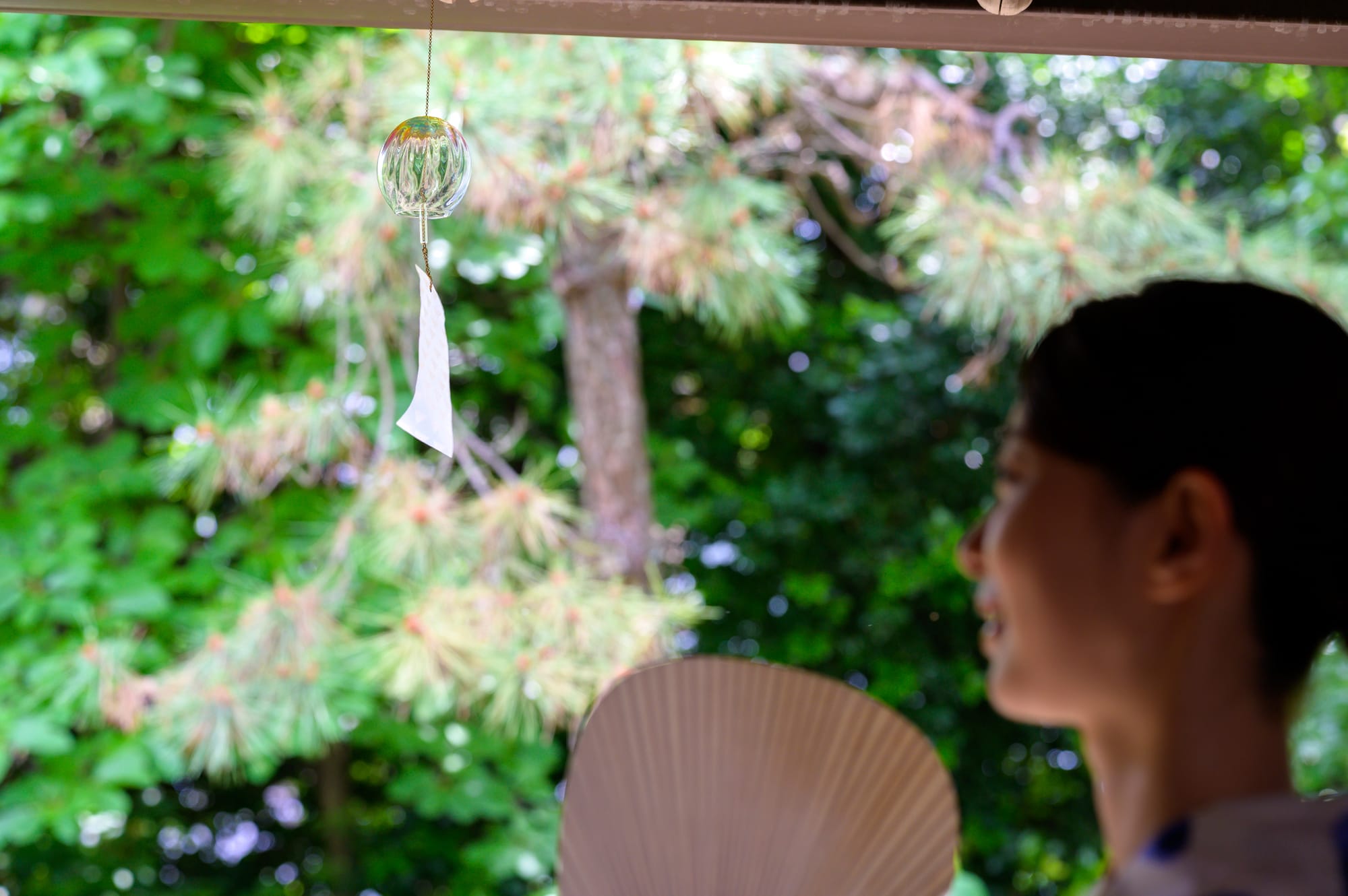 夏のひとときを贈るお中元