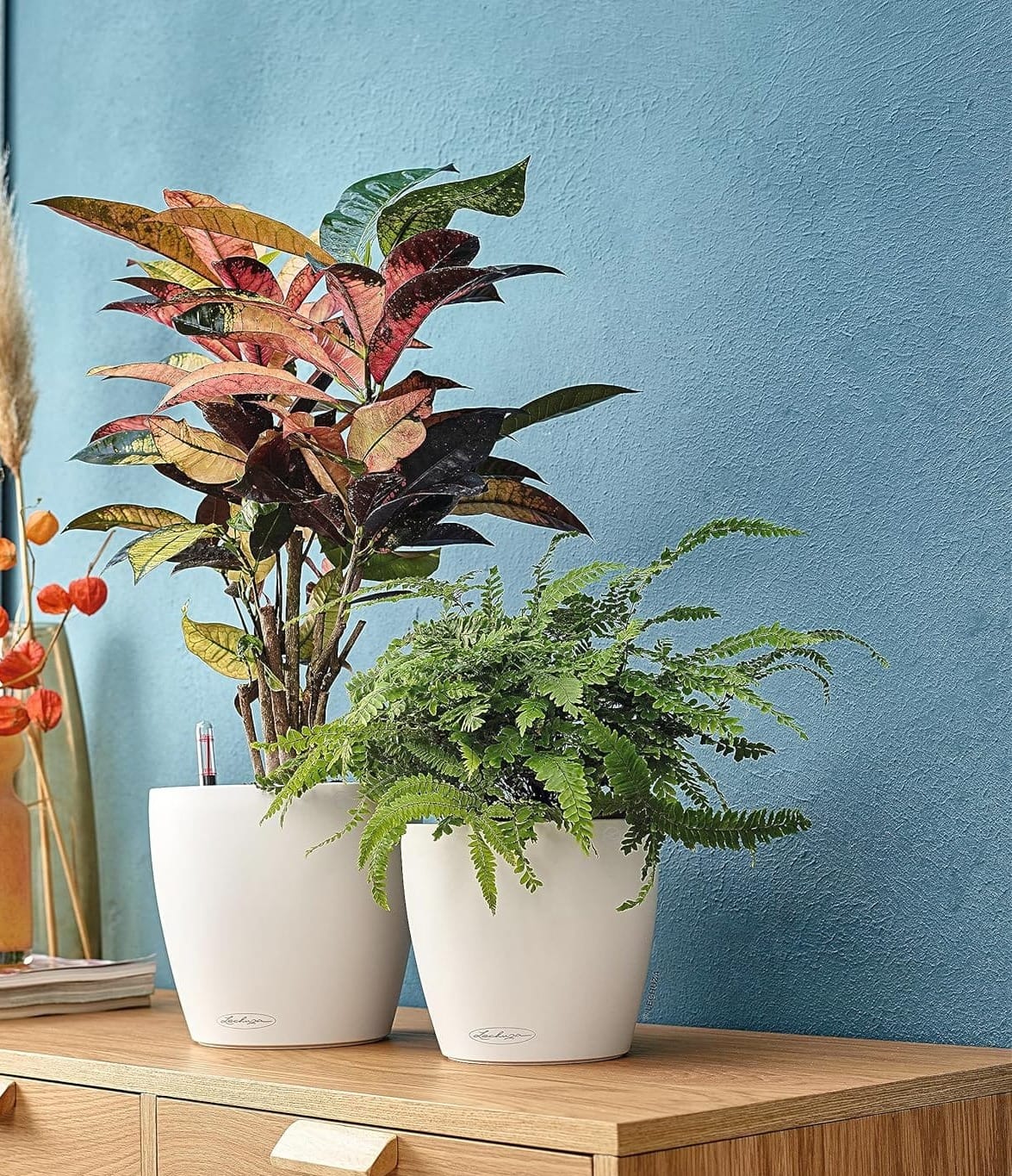 Best Self-Watering Pots for Indoor Plants 2024 | Judges Verdict