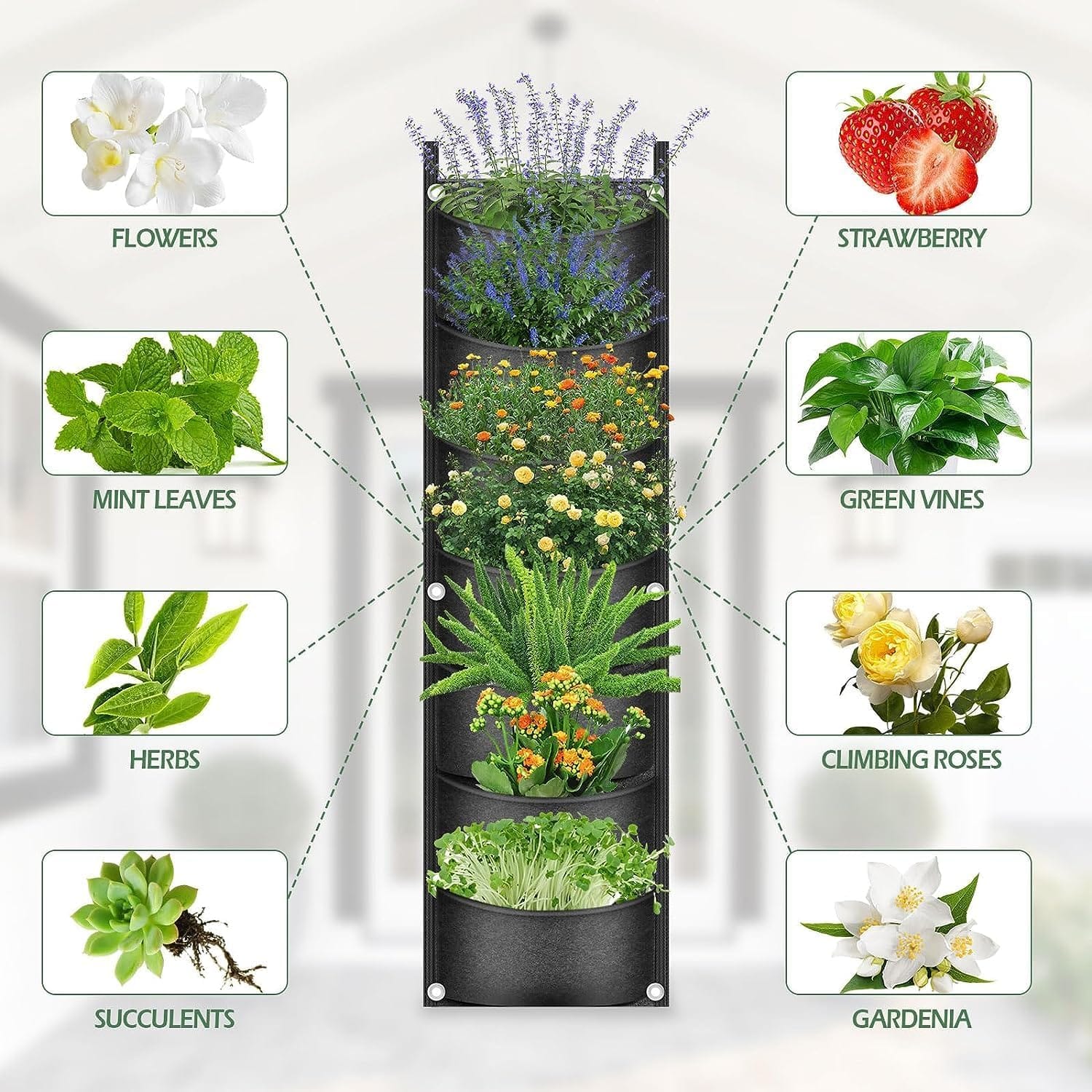 Best Living Wall Planter for Your Garden Judges | Verdict