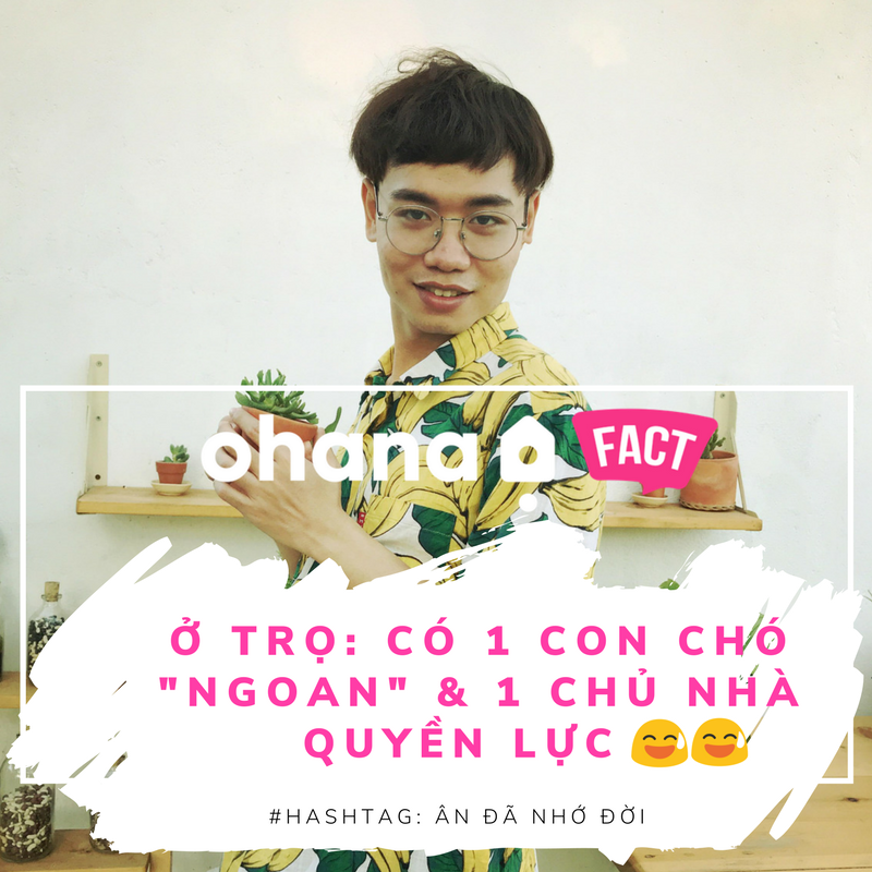 20TH-ANNUAL-HOLI-FESTIVAL--8-