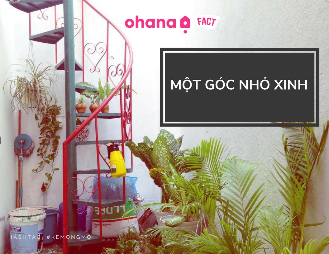 Struedel--scones--even-apple-pandowdy---10-