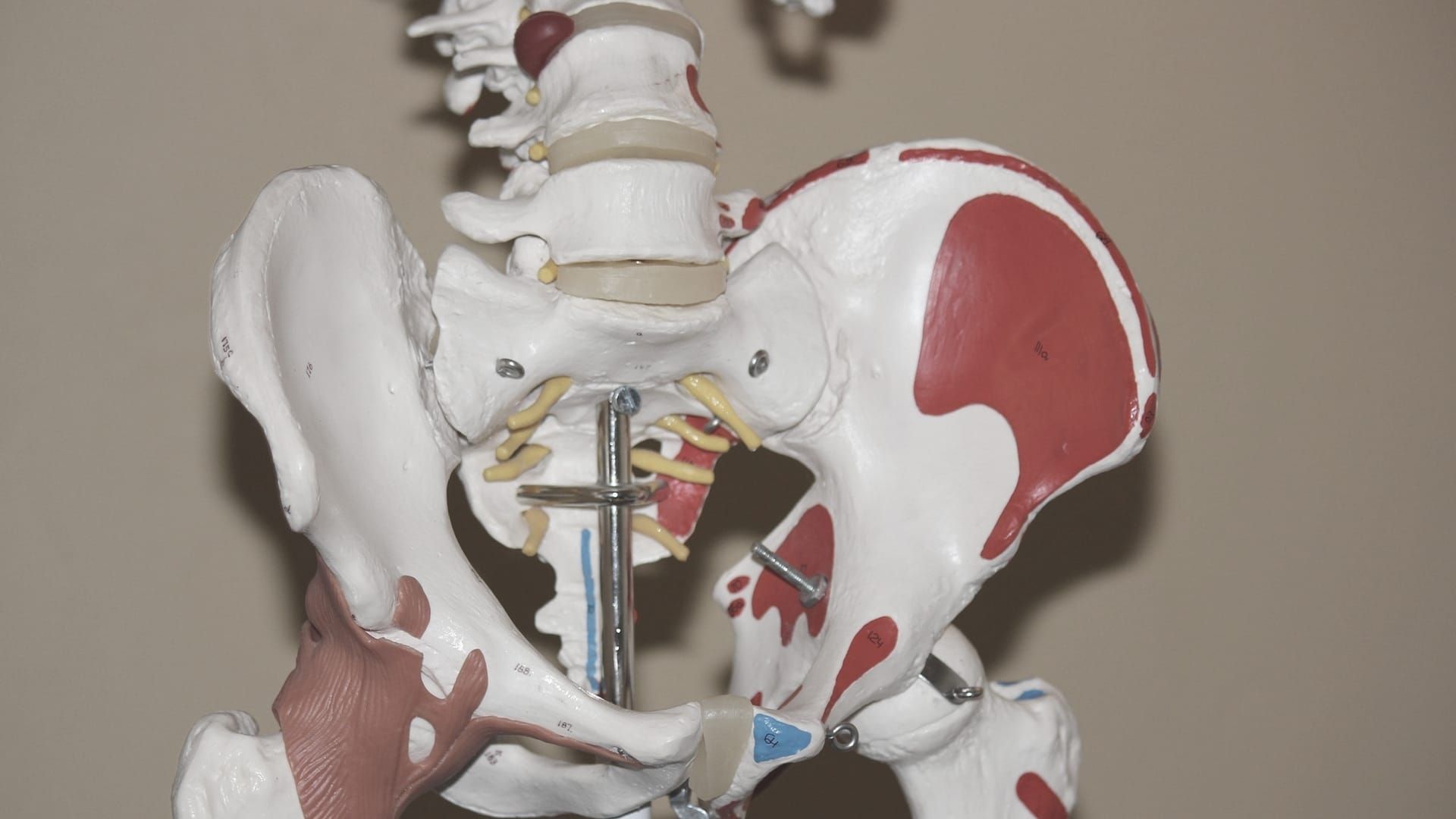 From The Onco.com #PaathShaala – Understanding Multiple Myeloma, Ewing’s Sarcoma And Other Malignant Tumors Of The Sacrum